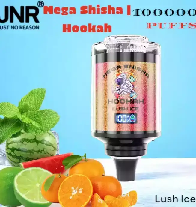 JNR Mega Shisha Hookah 100000 Puffs Langlebig Vielseitig Innovativ