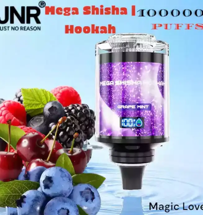 JNR Mega Shisha Hookah 100000 Puffs Langlebig Vielseitig Innovativ