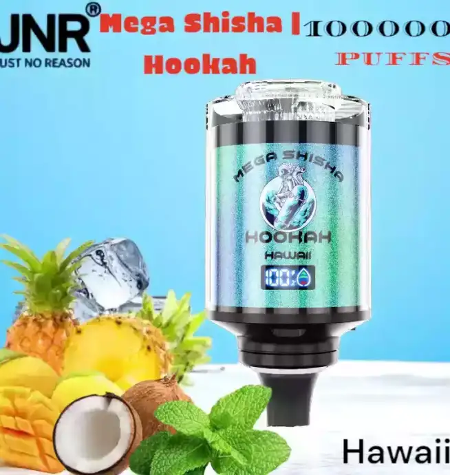 JNR Mega Shisha Hookah 100000 Puffs Langlebig Vielseitig Innovativ