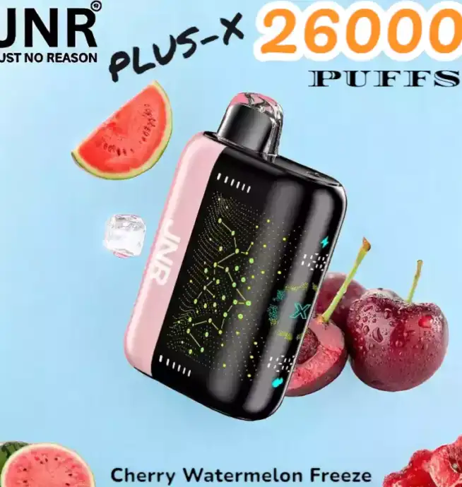 JNR PLUS-X 26000 Puffs Langlebige E-Zigarette mit AI und Dual Mesh-Coil