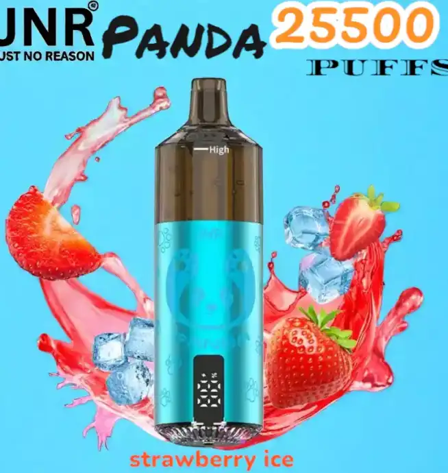 JNR Panda 25500 Puffs Wiederaufladbare E-Zigarette mit 25.500 Zügen – Bild 10
