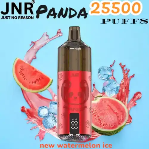 JNR Panda 25500 Puffs Wiederaufladbare E-Zigarette mit 25.500 Zügen