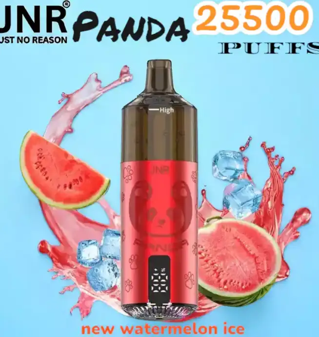 JNR Panda 25500 Puffs Wiederaufladbare E-Zigarette mit 25.500 Zügen