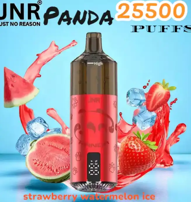 JNR Panda 25500 Puffs Wiederaufladbare E-Zigarette mit 25.500 Zügen