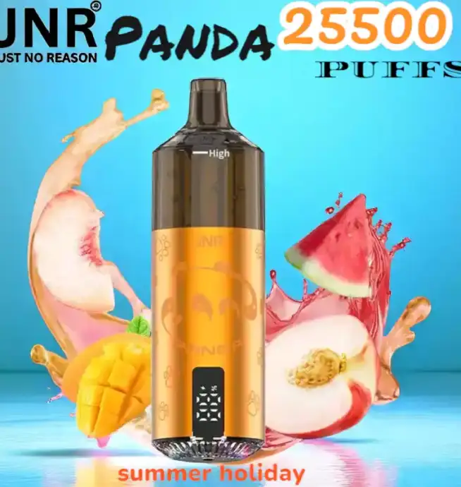 JNR Panda 25500 Puffs Wiederaufladbare E-Zigarette mit 25.500 Zügen
