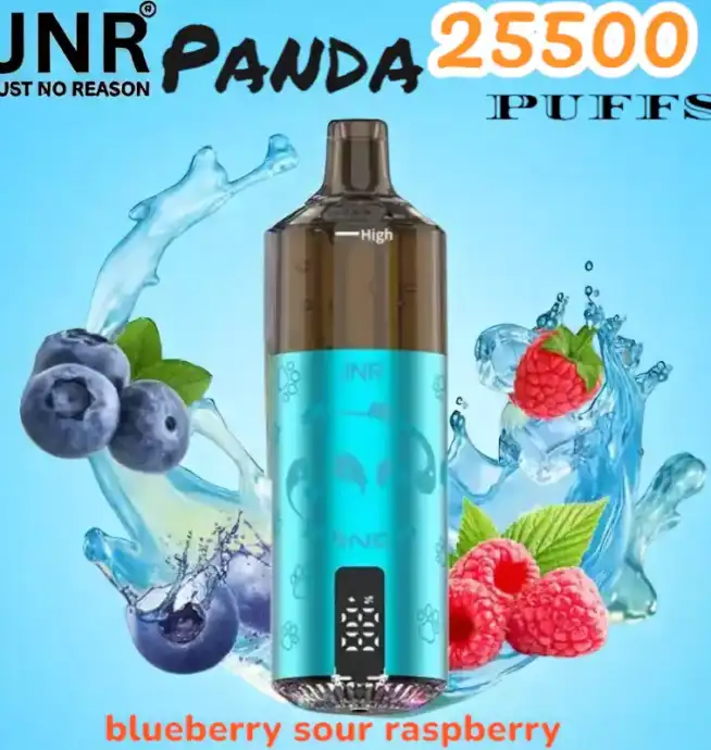 JNR Panda 25500 Puffs Wiederaufladbare E-Zigarette mit 25.500 Zügen