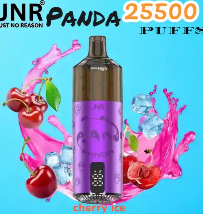JNR Panda 25500 Puffs Wiederaufladbare E-Zigarette mit 25.500 Zügen