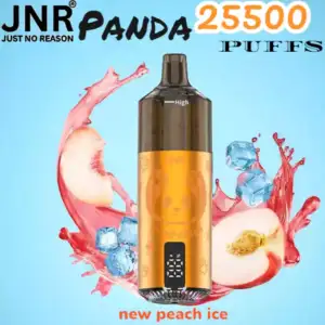 JNR Panda 25500 Puffs Wiederaufladbare E-Zigarette mit 25.500 Zügen