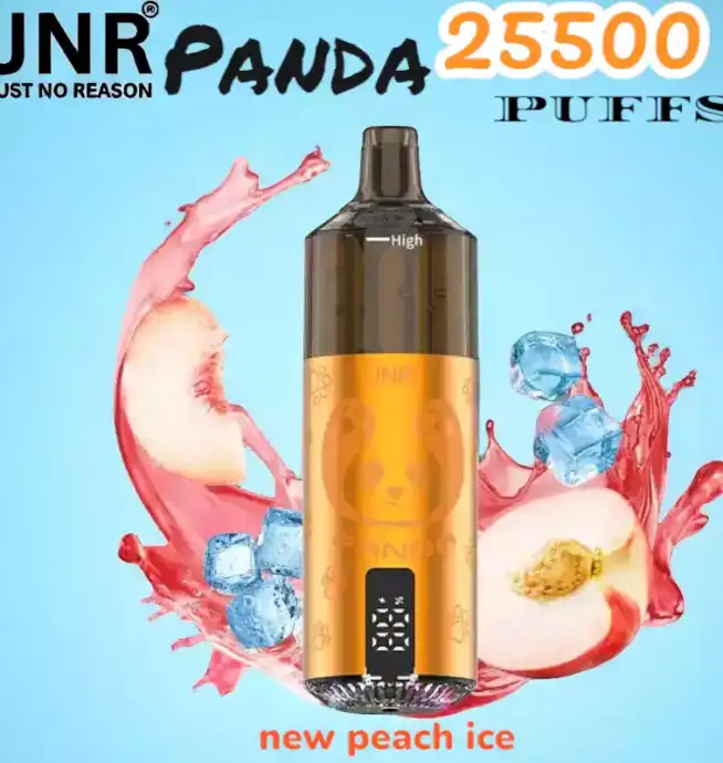 JNR Panda 25500 Puffs Wiederaufladbare E-Zigarette mit 25.500 Zügen