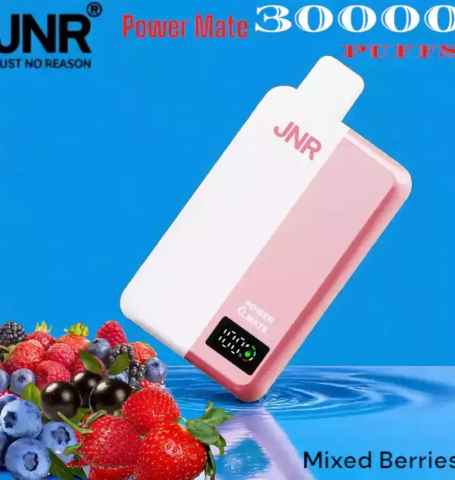 JNR Power Mate 30000 Puffs Langlebig Vielseitig & Nikotinstark