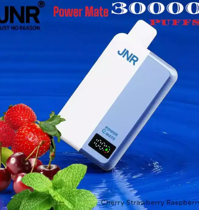 JNR Power Mate 30000 Puffs Langlebig Vielseitig & Nikotinstark