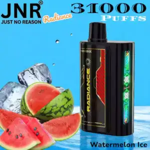 JNR Radiance 31000 Puffs 28ml E-Liquid Dual Mesh Coil 31000 Züge