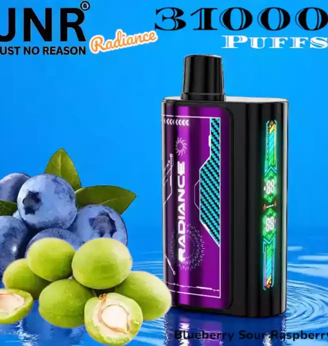 JNR Radiance 31000 Puffs 28ml E-Liquid Dual Mesh Coil 31000 Züge