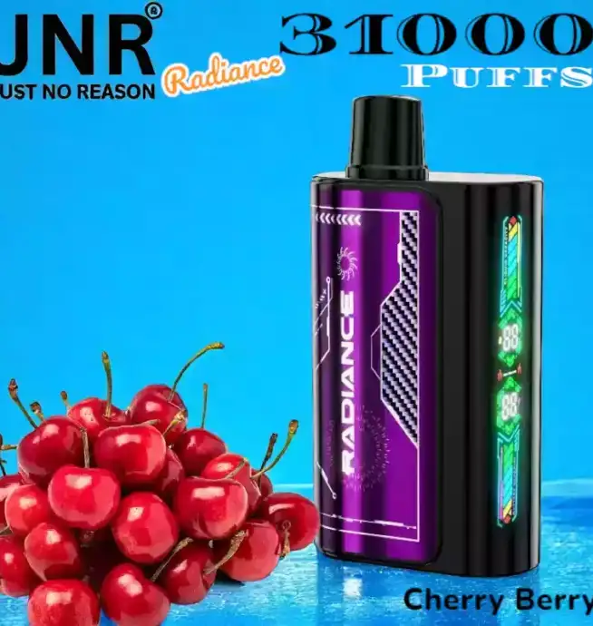 JNR Radiance 31000 Puffs 28ml E-Liquid Dual Mesh Coil 31000 Züge