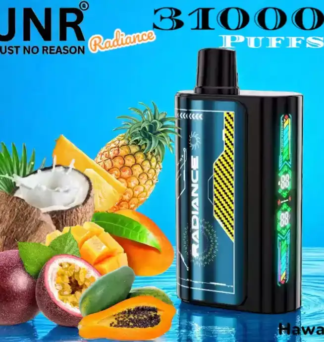 JNR Radiance 31000 Puffs 28ml E-Liquid Dual Mesh Coil 31000 Züge
