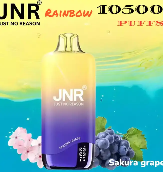 JNR Rainbow 10500 Puffs Stylischer Einweg-Vape mit Display & USB-C
