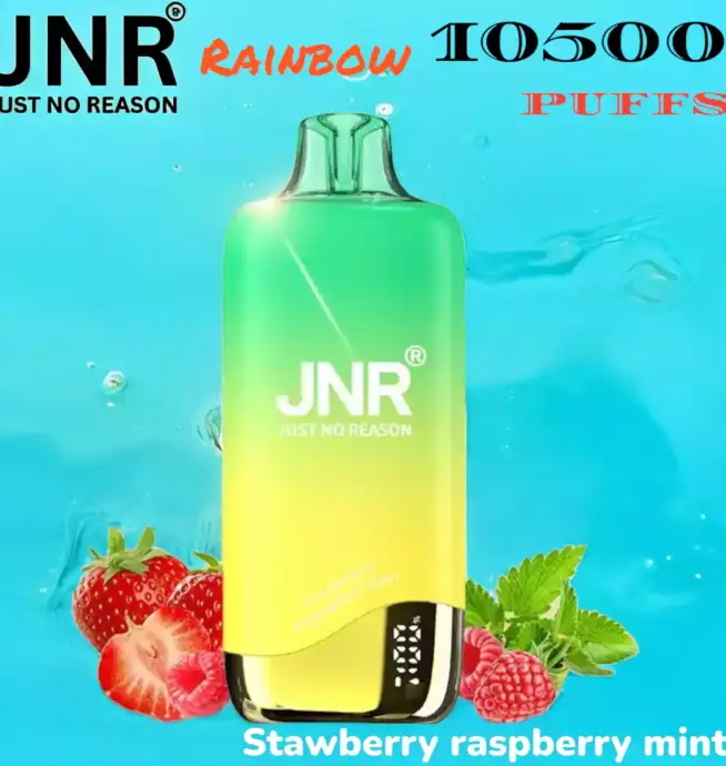 JNR Rainbow 10500 Puffs Stylischer Einweg-Vape mit Display & USB-C