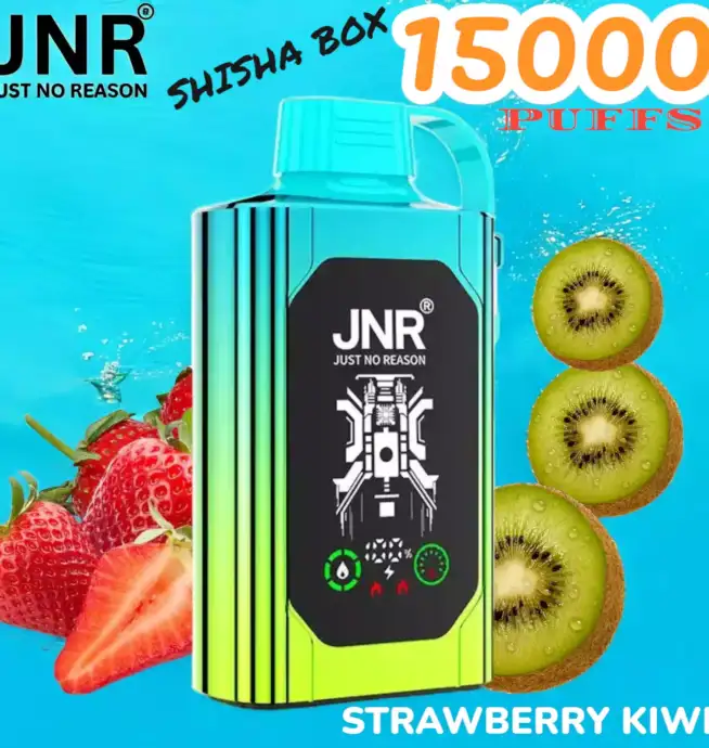 JNR SHISHA BOX 15000 Puffs Einweg-Vape mit 16ml Liquid & USB-C