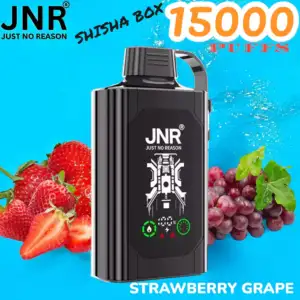 JNR SHISHA BOX 15000 Puffs Einweg-Vape mit 16ml Liquid & USB-C
