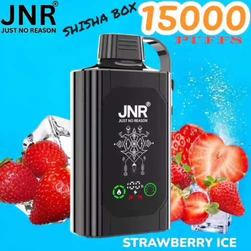 JNR SHISHA BOX 15000 Puffs Einweg-Vape mit 16ml Liquid & USB-C