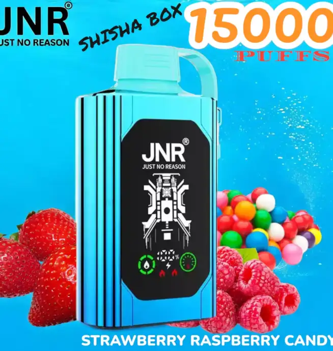 JNR SHISHA BOX 15000 Puffs Einweg-Vape mit 16ml Liquid & USB-C