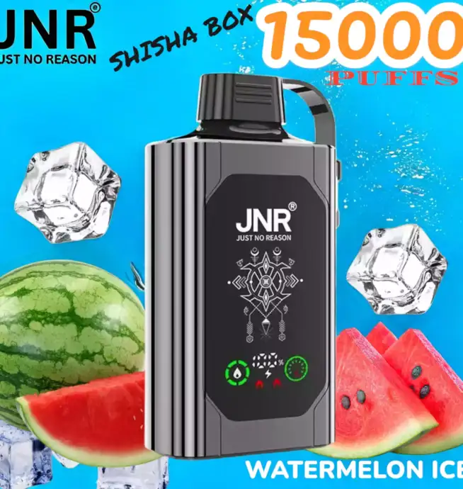 JNR SHISHA BOX 15000 Puffs Einweg-Vape mit 16ml Liquid & USB-C