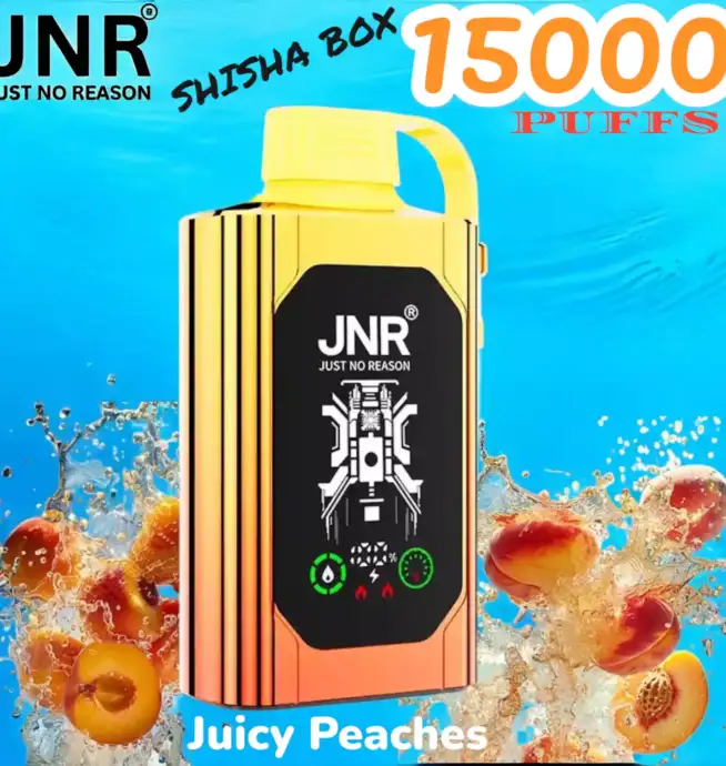 JNR SHISHA BOX 15000 Puffs Einweg-Vape mit 16ml Liquid & USB-C