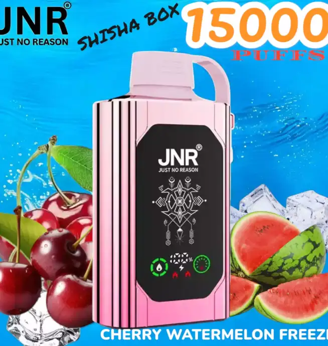 JNR SHISHA BOX 15000 Puffs Einweg-Vape mit 16ml Liquid & USB-C