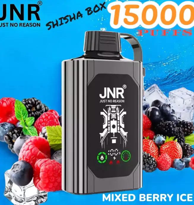 JNR SHISHA BOX 15000 Puffs Einweg-Vape mit 16ml Liquid & USB-C