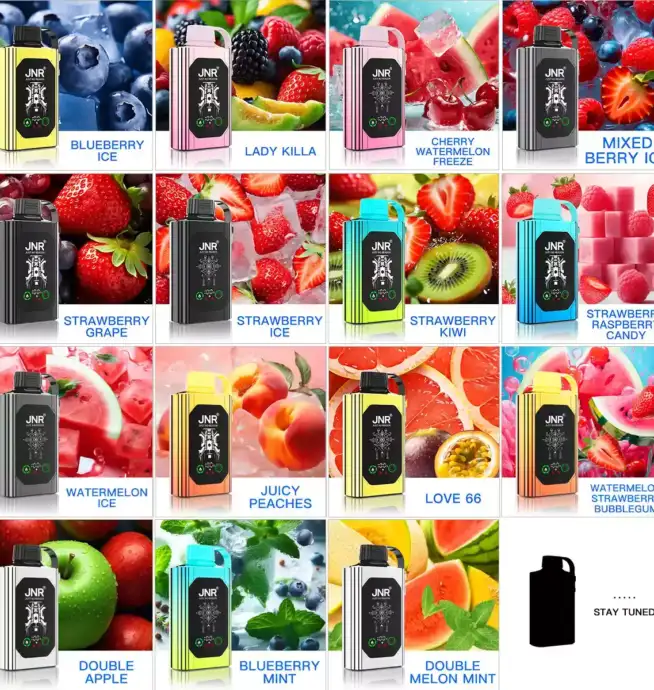 JNR SHISHA BOX 15000 Puffs Einweg-Vape mit 16ml Liquid & USB-C
