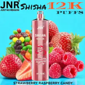 JNR Shisha 12K Puffs Authentisches Shisha-Erlebnis & 12.000 Züge