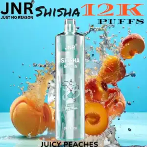 JNR Shisha 12K Puffs Authentisches Shisha-Erlebnis & 12.000 Züge