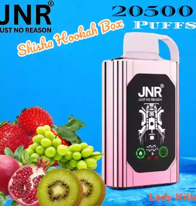 JNR Shisha Hookah Box 20500 Puffs Langlebig Vielseitig und Stark