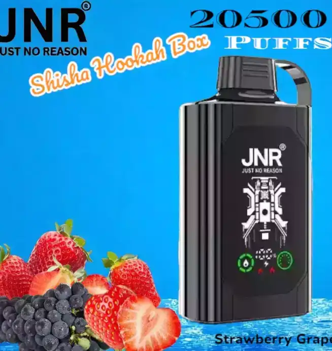 JNR Shisha Hookah Box 20500 Puffs Langlebig Vielseitig und Stark