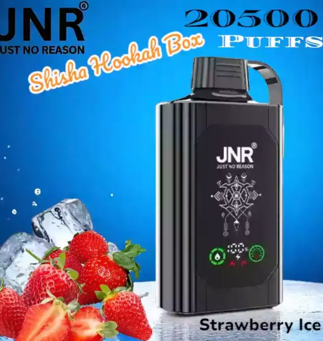 JNR Shisha Hookah Box 20500 Puffs Langlebig Vielseitig und Stark