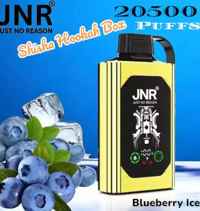JNR Shisha Hookah Box 20500 Puffs Langlebig Vielseitig und Stark