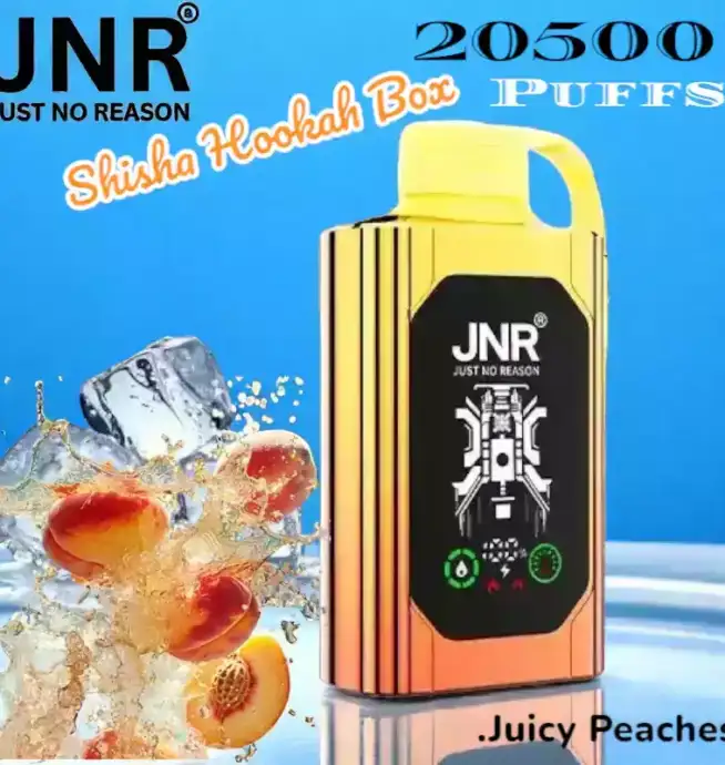 JNR Shisha Hookah Box 20500 Puffs Langlebig Vielseitig und Stark
