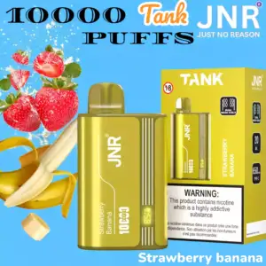 JNR Tank 10000 Puffs Langanhaltendes Dampfen mit 20ml Liquid und Schnellladung