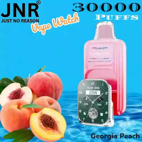 JNR Vape Watch 30000 Puffs Multifunktionale E-Zigarette mit App