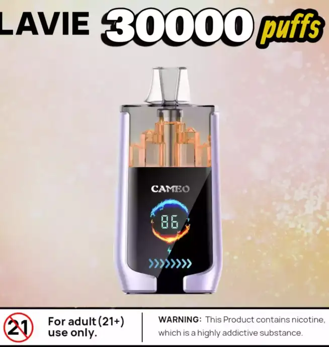 LAVIE CAMEO 30000 Puffs Power Vape mit USB-C & 25ml Tank