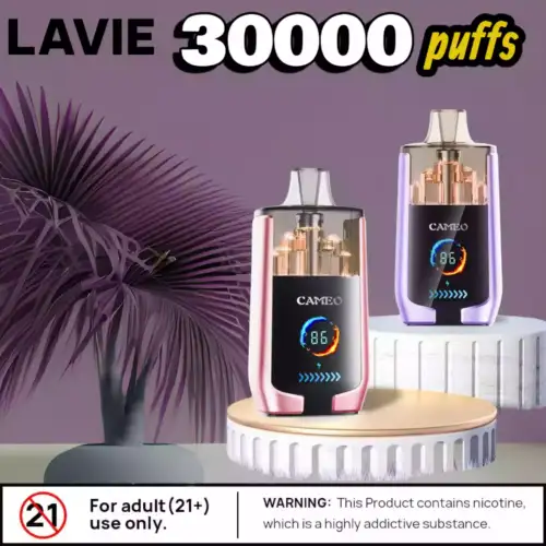 LAVIE CAMEO 30000 Puffs Power Vape mit USB-C & 25ml Tank