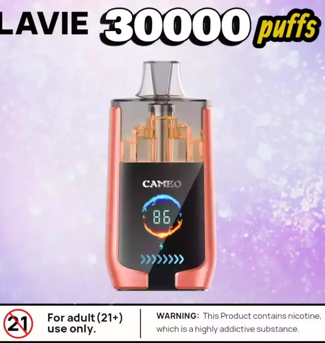 LAVIE CAMEO 30000 Puffs Power Vape mit USB-C & 25ml Tank