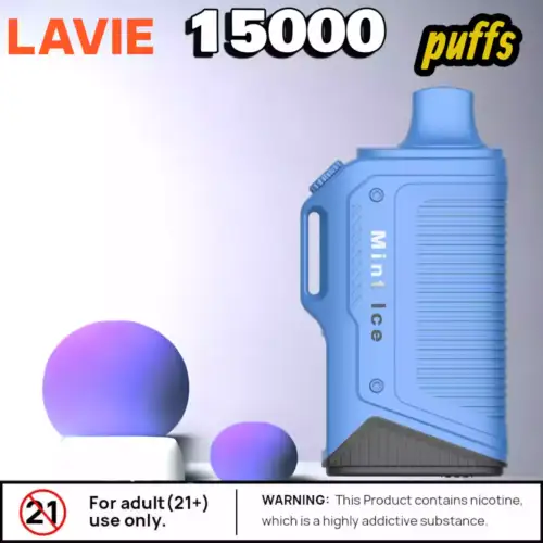 LAVIE Energy Box 15000 Puffs 15000 Züge 20ml E-Liquid & Typ-C
