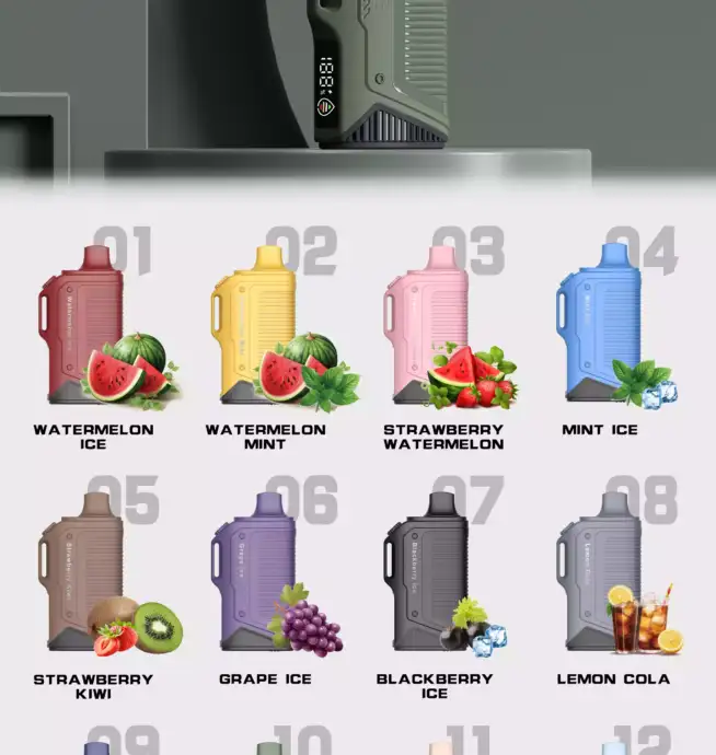 LAVIE Energy Box 15000 Puffs 15000 Züge 20ml E-Liquid & Typ-C