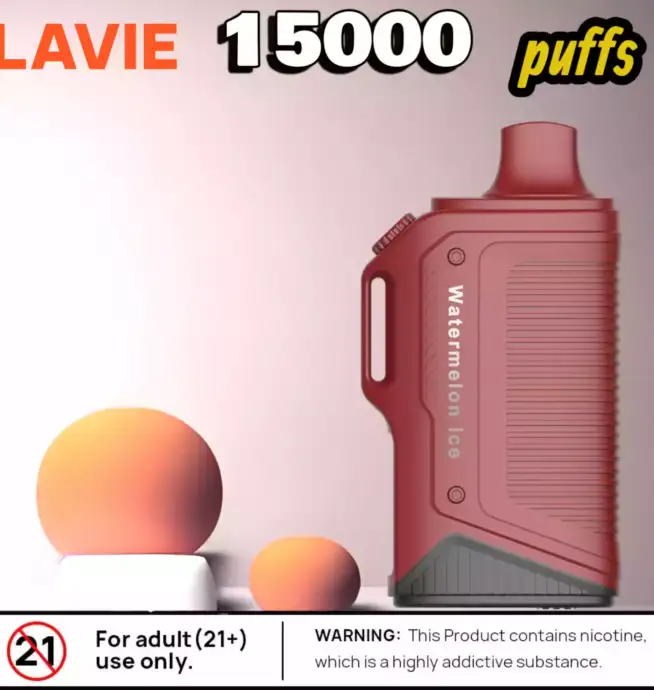 LAVIE Energy Box 15000 Puffs 15000 Züge 20ml E-Liquid & Typ-C