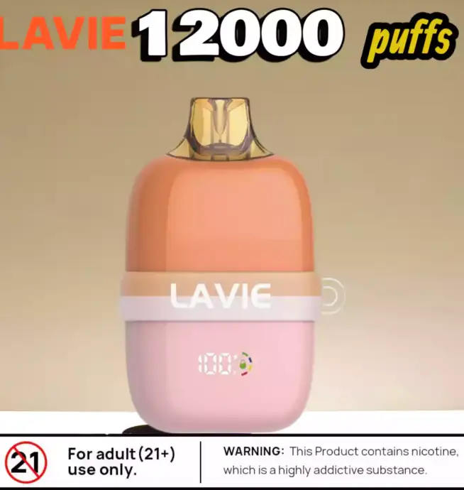 LAVIE INSIDER 12000 Puffs Kompakt Display & 12 Aromen
