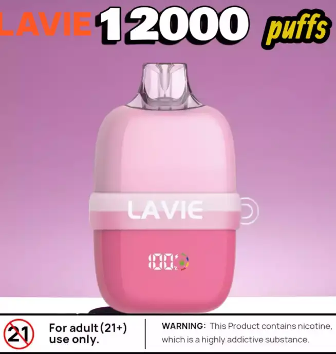 LAVIE INSIDER 12000 Puffs Kompakt Display & 12 Aromen