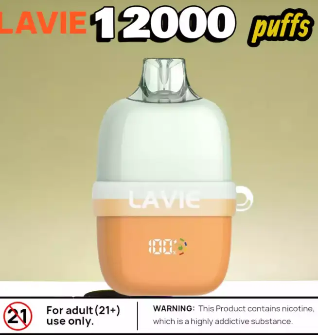 LAVIE INSIDER 12000 Puffs Kompakt Display & 12 Aromen