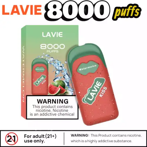 LAVIE KISS 8000 Puffs Kompakt USB-C & 12 Top-Aromen