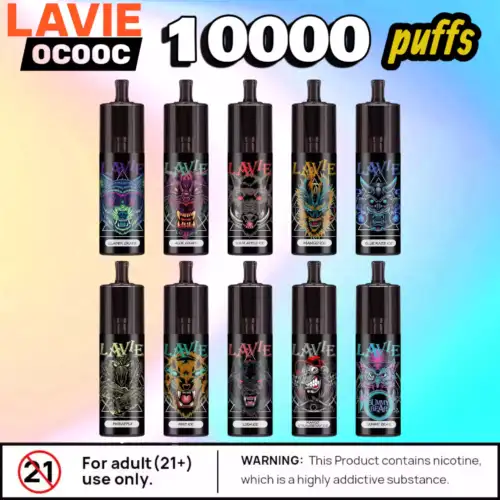 LAVIE OCO OC 10000 Puffs 15ml USB-C & 12 intensive Aromen